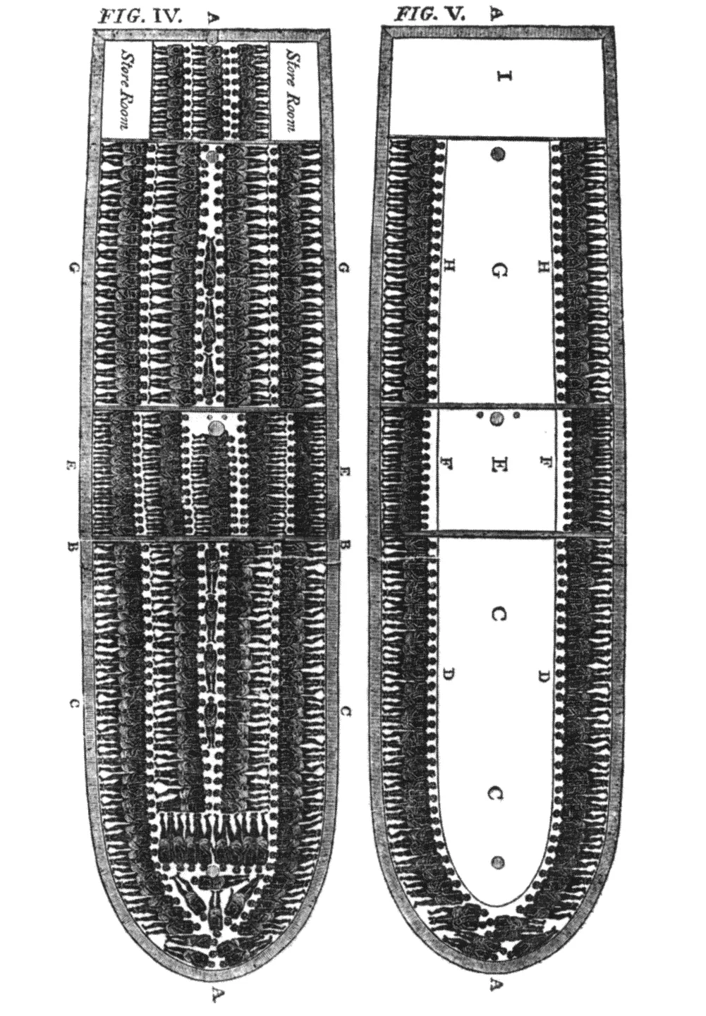 Historical diagram of a slave ship illustrating the Middle Passage