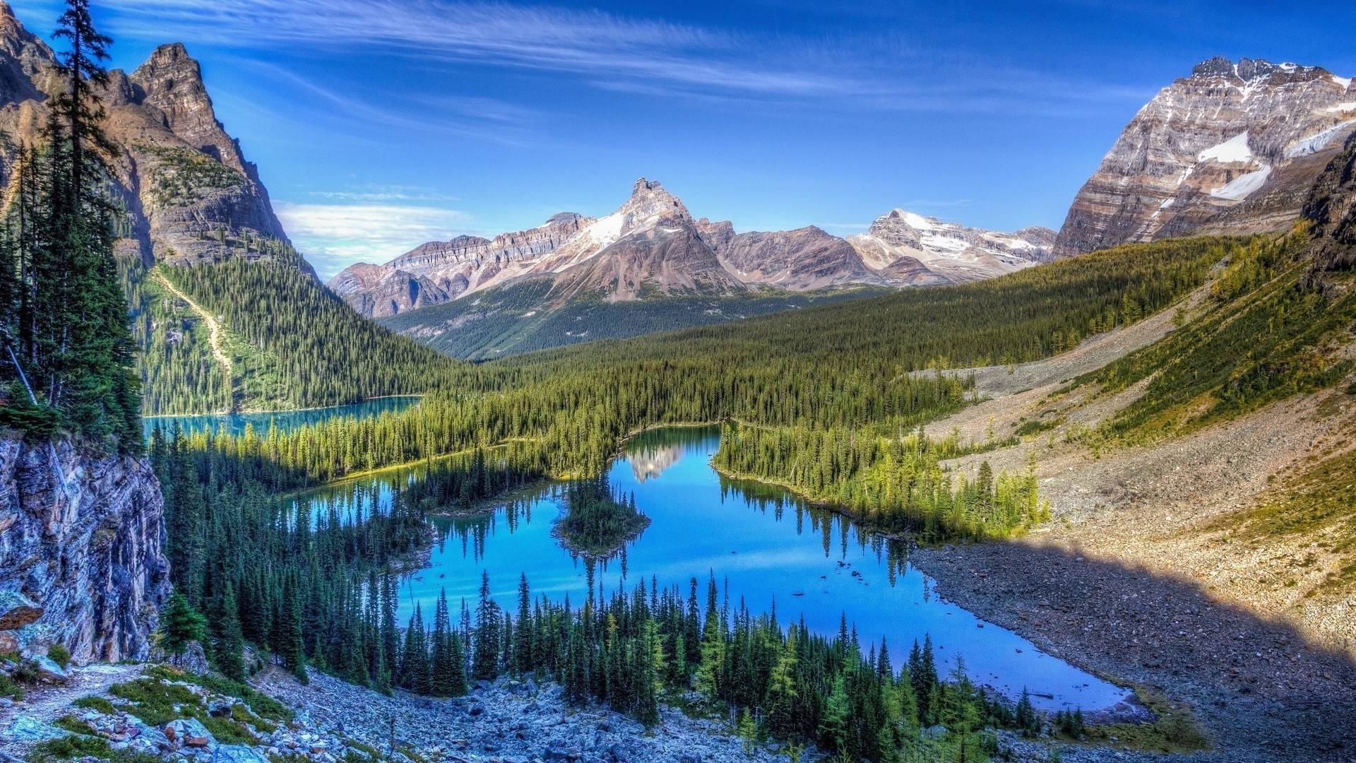 Alpine meadows and snow-capped peaks in Rocky Mountain National Park, Colorado