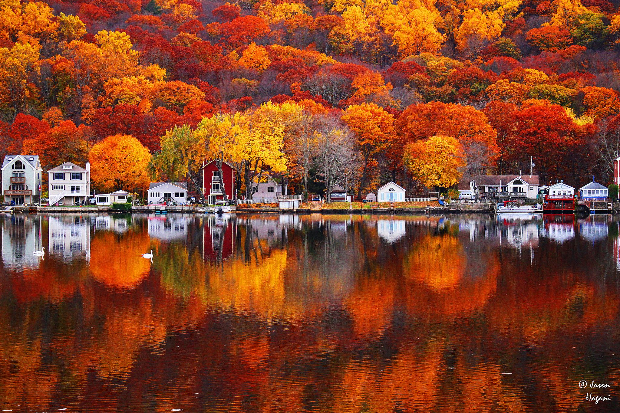 A country road canopied by brilliant red and gold autumn foliage in rural Connecticut