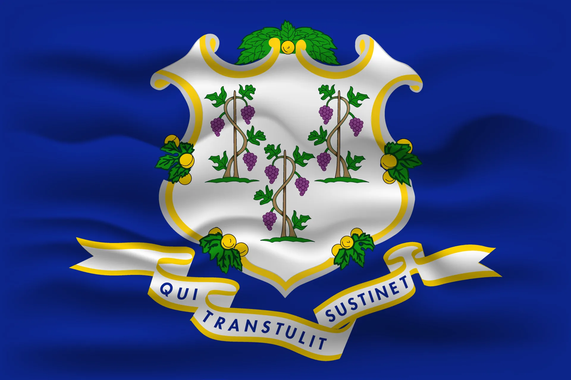 Connecticut State Flag