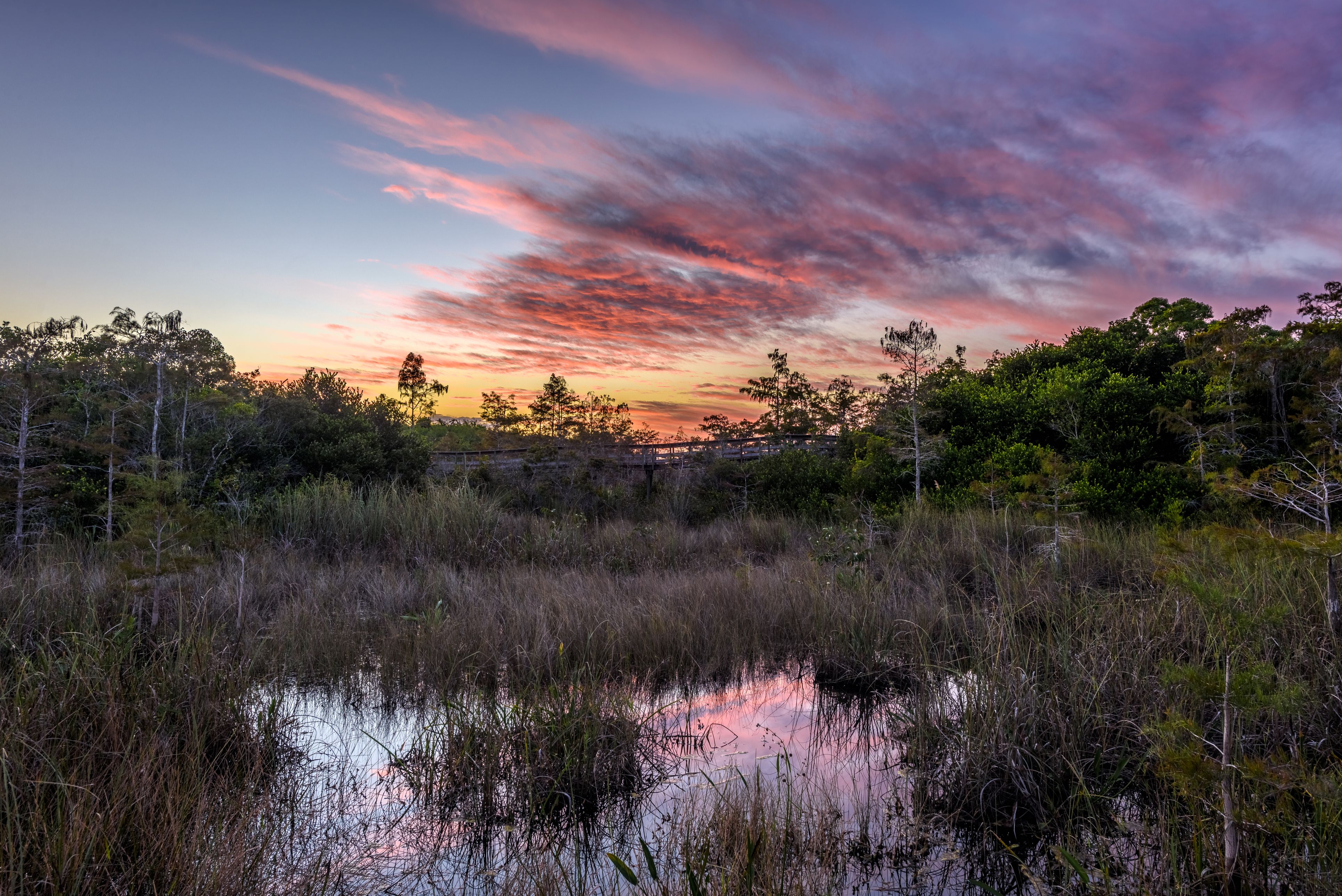 Sawgrass prairie and cypress domes at sunrise in Florida's Everglades National Park