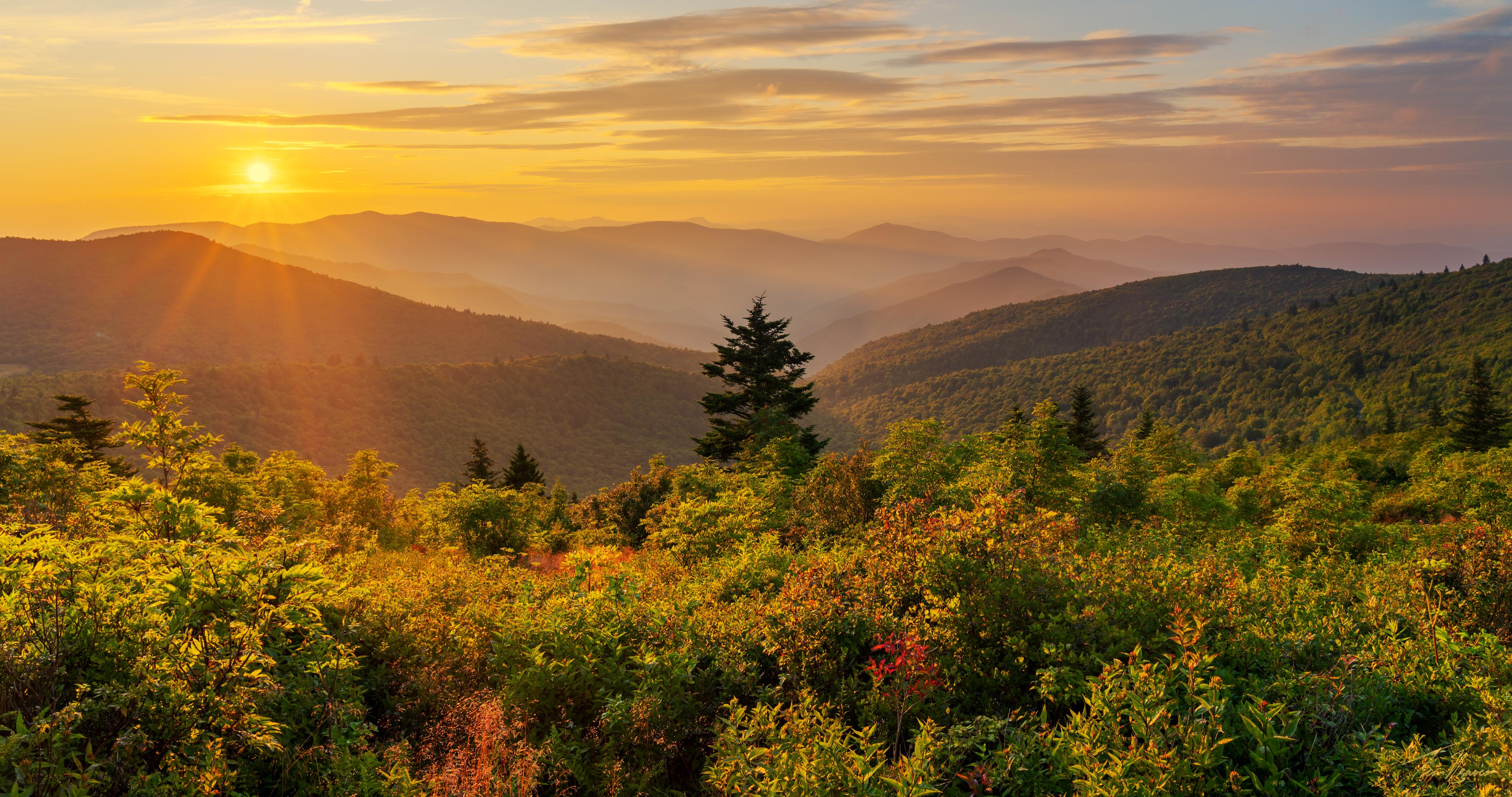 Blue Ridge Mountains and autumn foliage viewed from Brasstown Bald, north Georgia