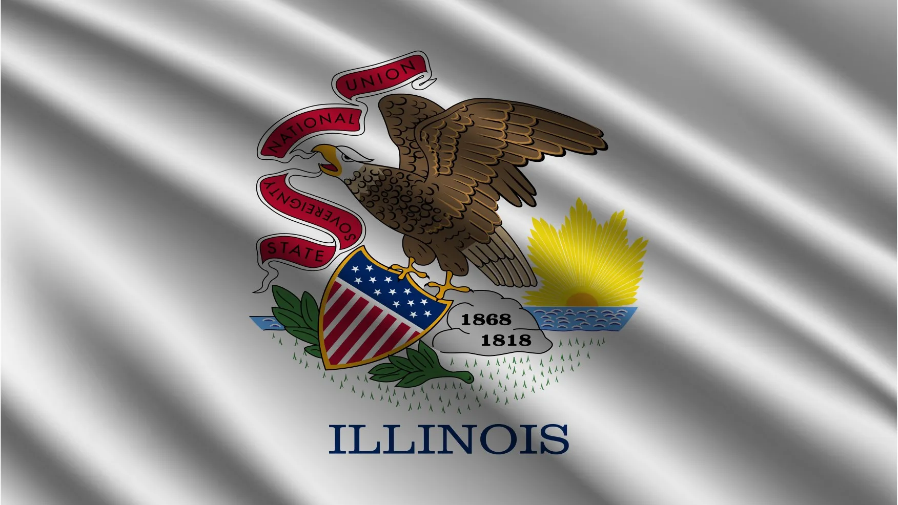 Illinois State Flag