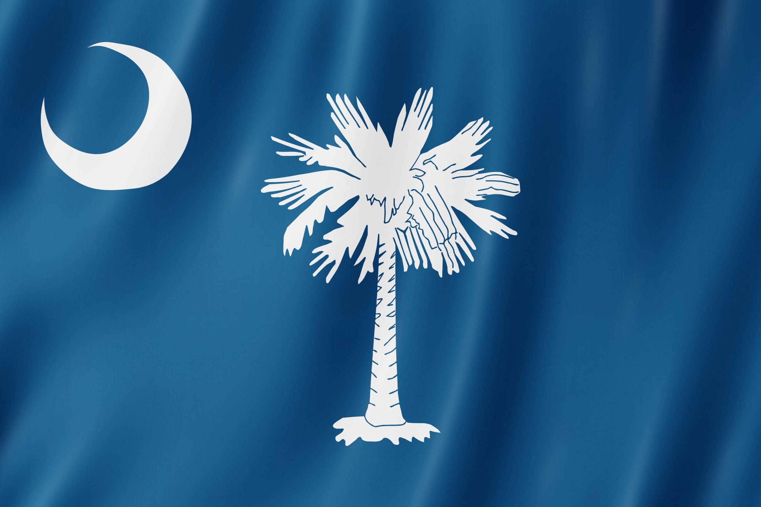 South Carolina State Flag